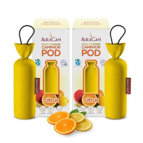 Buy AURACAM GOLD STANDARD CAMPHOR POD CONE (CITRUS) - SET OF 2 Online ...