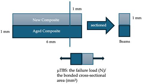 Influence of Different Adhesives and Surface Treatments on Shear and ...