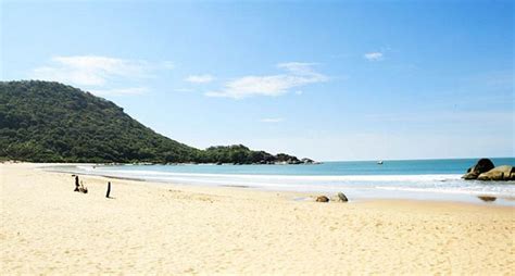 Image result for Goa Experience