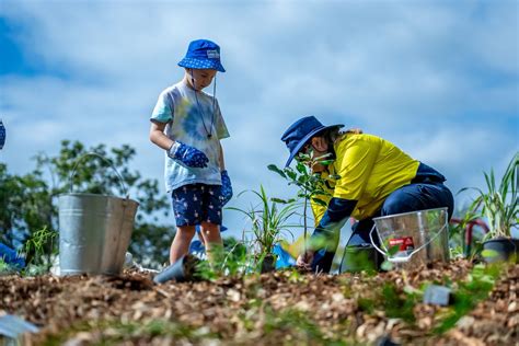 National Tree Day Community Planting 2024, Webb Park, Gladstone, 28 ...