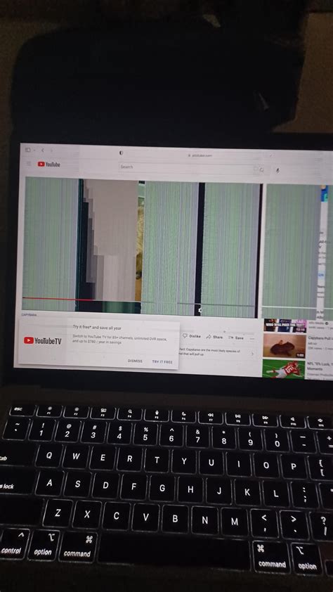 m1 macbook air display issue : r/mac
