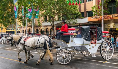 How To Take An E-Victoria In Mumbai; We Figured It Out For You ...