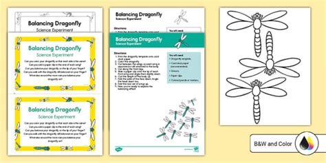 Balancing Dragonfly Science Activity for K-2nd Grade