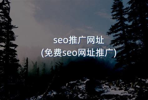 seo推广网址(免费seo网址推广) - 洋葱SEO