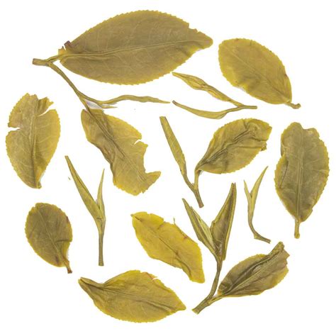 Gopaldhara Pine Wood Chestlets Vintage Umami Green Tea – The Secret of Tea