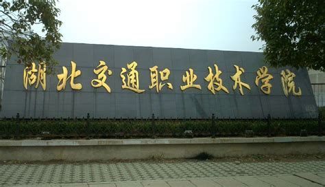 武汉专科学校排名，武汉排名前十的专科学校 - 知乎