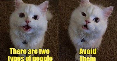 Image result for Callable Statements in Spring in Java