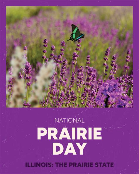Recognizing National Prairie Day in the Prairie State - Ryan Spain