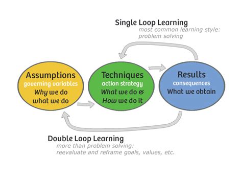 Image result for Double Loop Theory Application