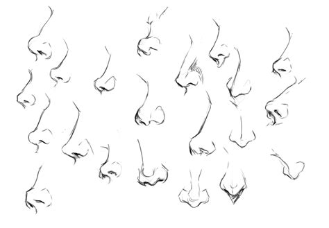 Easy Female Nose Drawing - Drawing Skills Academy