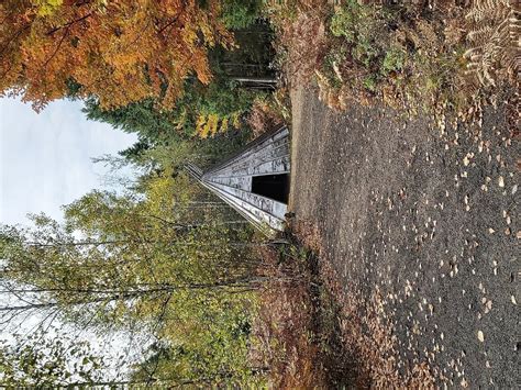 MI’KMAQ BASKET MAKING & HERITAGE PATH TOUR (2026) All You Need to Know ...