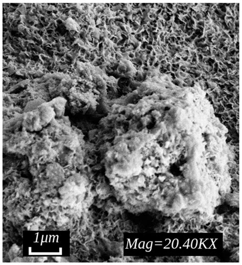 The Study of Metal Corrosion Resistance near Weld Joints When Erecting ...