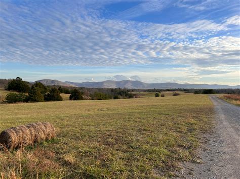 Person Walking Outside 的图像结果