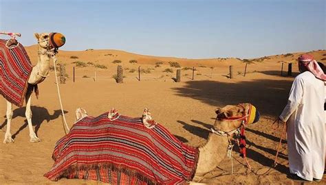 Things To Do In Ras Al Khaimah For Making The Most Of Your UAE Trip