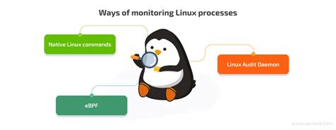 Image result for Monitoring and Managing Linux Processes
