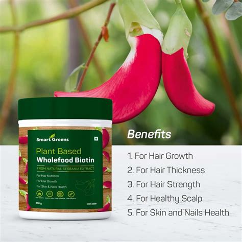 Buy SMART GREENS PLANT BASED WHOLEFOOD BIOTIN POWDER - 300GM Online ...