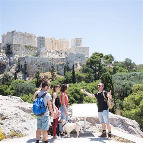 MISTER PLATO (2026) All You Need to Know BEFORE You Go (with Photos ...