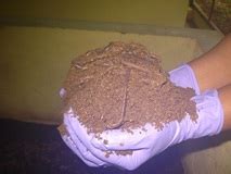 ICAR-DPR and ICAR-CRIDA develops Poultry Litter Compost and ...