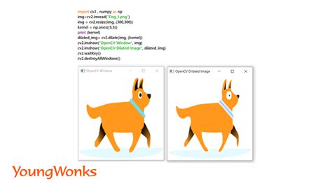 Image result for OpenCV Python Image Processing Examples