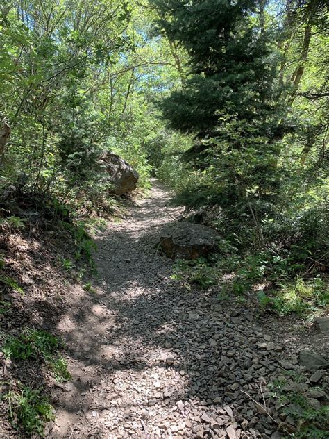 Heughs Canyon Trail - Utah | AllTrails
