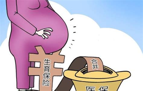 2021年杭州市生育保险怎么办理？HR速领|红海eHR