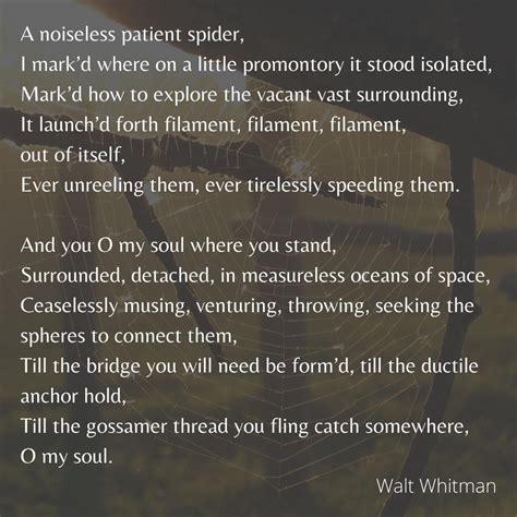 A Noiseless Patient Spider — Words Unbound