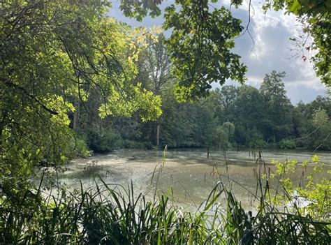 Rewilding at The Aldenham Estate, Home Farm Glamping, Borehamwood ...