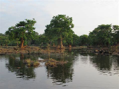 Lakes In Gabon