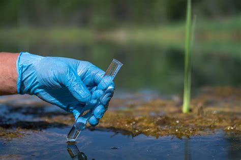 Dove si trovano i PFAS: cosa sono e quali sono i rischi per la salute | Ohga!
