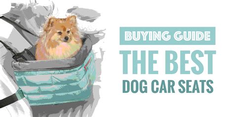 Best Dog Car Seats – 2021 Buying Guide for Booster Seats — Breeding ...
