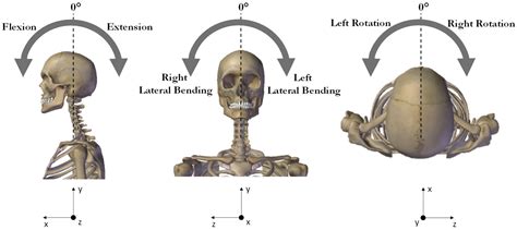 Cervical Range of Motion Assessment through Inertial Technology: A ...