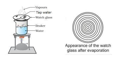 Water: A Universal solvent — lesson. Science State Board, Class 8.