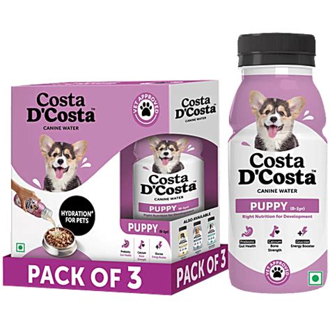 Buy Costa D'Costa Puppy Canine Water - 0 - 1 Years Online at Best Price ...