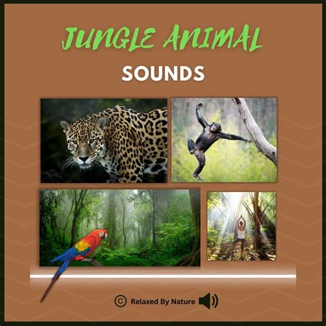 Image result for Alien Jungle Sounds