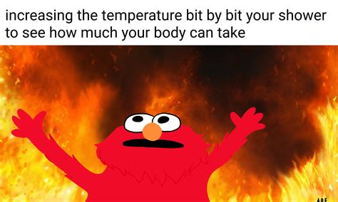 Image result for Exploding Elmo Meme