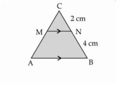 in angle abc,mn is parallel to ab and cn =2cm nb=4cm then ab =options ...