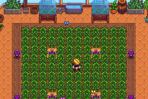 Stardew Valley Coffee Bean Vs Coffee at Charlene Nunez blog