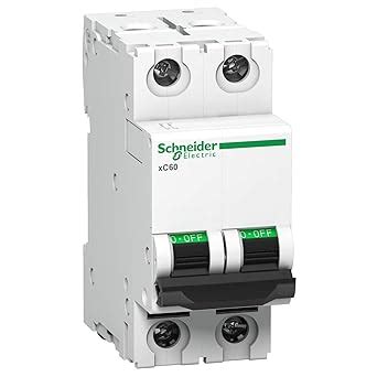 Schneider MCB 6A DP C-Curve ACTI9 10kA Miniature Circuit-Breaker, DIN ...