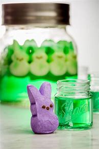 Image result for Purple Bunny Stuffed Animal