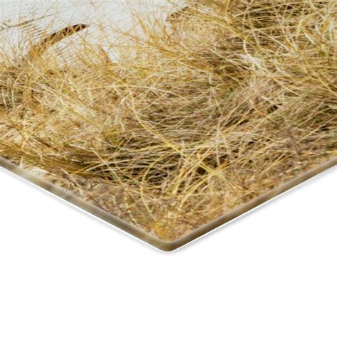 Splashback Beach Chairs | wall-art.com