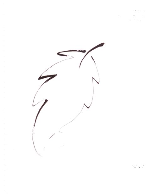 D'source From Seed to Tree | Exercises | D'Source Digital Online ...