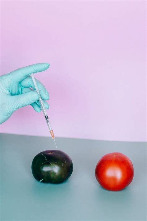 Biotechnology Definition 的图像结果