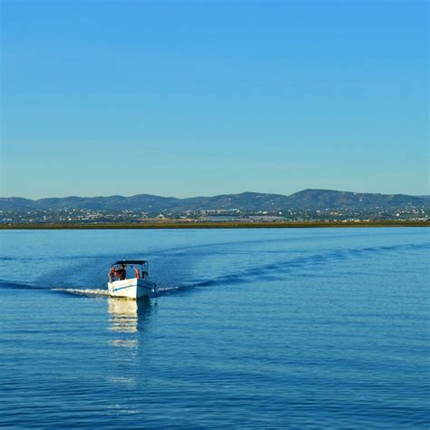 ODYSSEY - RIA FORMOSA BOAT TOURS (2024) All You Need to Know BEFORE You ...