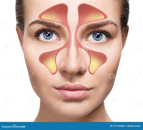 Female Face Shows Nasal Sinus with Cold Over White Background. Stock Photo - Image of infection ...