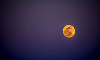 Blood Moon