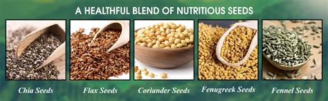 Typhoo Digestive Power Seeds Organic (Pack of 2) : Amazon.in: Health ...