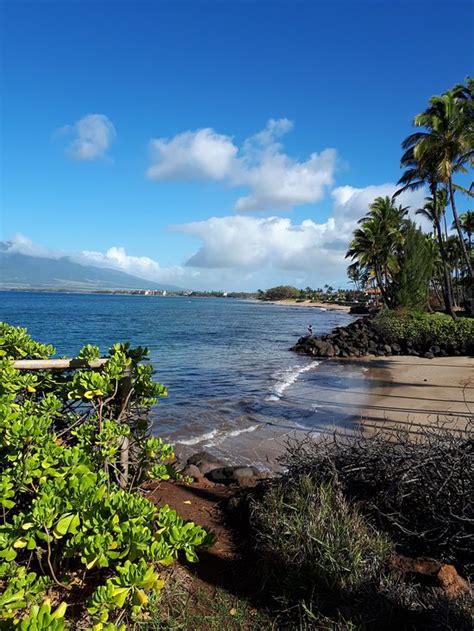 KIHEI BAY SURF 140 (Maui) - Apartment Reviews & Photos - Tripadvisor