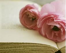 il significato segreto dei fiori il linguaggio segreto dei fiori significato fiori il significato segreto dei fiori il linguaggio segreto dei fiori significato fiori