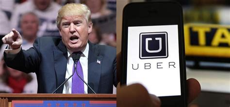 Apple, Microsoft Uber Help The Staff After Trumps Immigration Order