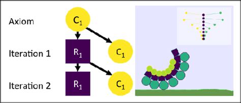 Morphospace Local Optima 的图像结果